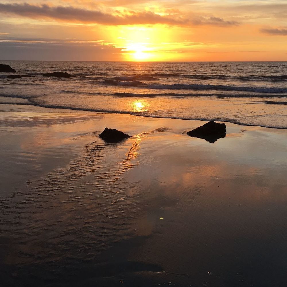 Meet your Posher, Madia